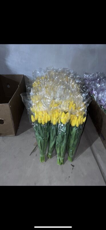 Цветы и букеты: Тюльпаны оптом. - Срезанные тюльпаны в упаковке, готовые к — 3
