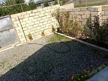 kiraye evler sulutepe: 5 otaqlı, 20 kv. m, Yeni təmirli — 9
