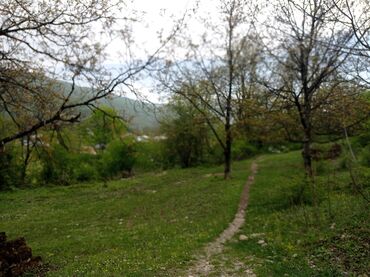 xacmazda torpaq: 4 sot, Tikinti, Kupça (Çıxarış)