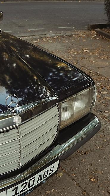 16060 super: Mercedes-Benz W123: 1983 г., 2.3 л, Механика, Бензин, Седан — 4