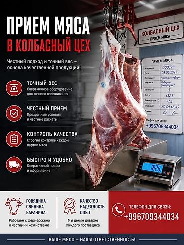 болушу: В Колбасный цех принимаем скот колбасный цехке мал алабыз. колбасный — 1