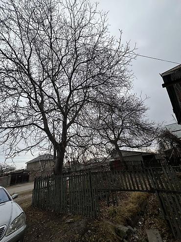 Продажа домов: Дом, 95 м², 4 комнаты, Собственник, Старый ремонт — 5