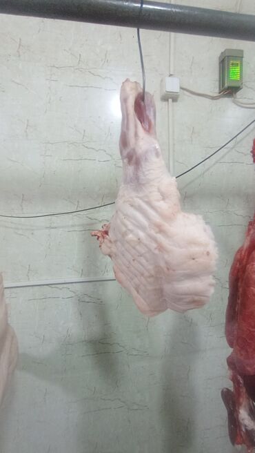 Готовые блюда, кулинария: Təzə, kəsilmiş donuz et Xırdalan təzə bazar padvalda iş vaxdi seher