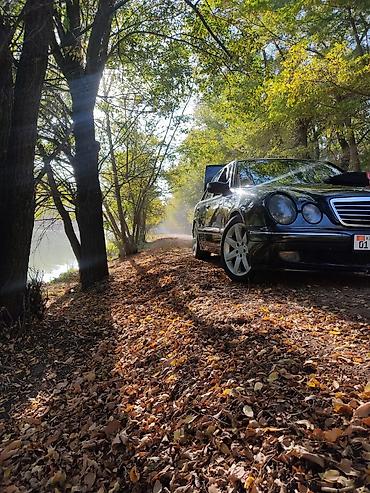 w210 рейка: Mercedes-Benz E-Class: 2002 г., 2.8 л, Автомат, Бензин, Седан — 1