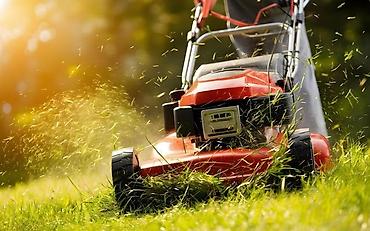 Газонокосилки: Газонокосилка Смерч рольф at lalafo.kg — 3 Газонокосилки: Газонокосилка Смерч рольф — 3