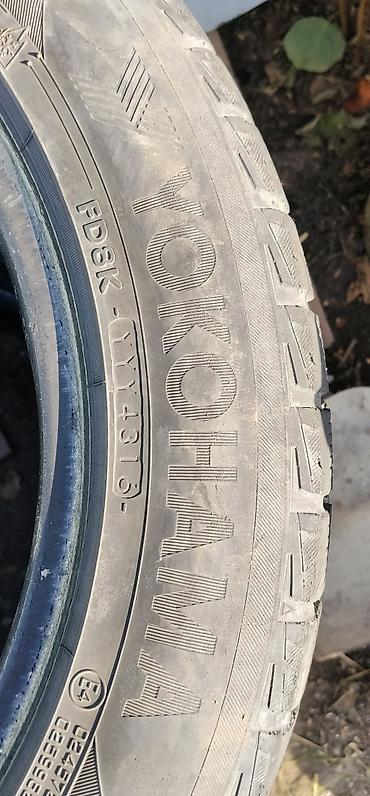 55: Комплект зимних шин Yokohama iceGUARD iG50, 4 шт. - Размер: 205/55 — 2