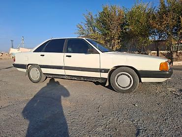 Audi: Audi 100: 1988 г., Седан — 14