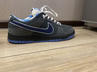 найк кроссы: Nike dunk sb lobster