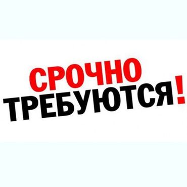 личный водитель для женщины: Нужна девушка в швейное производство!! Обязанности: закуп фурнитур