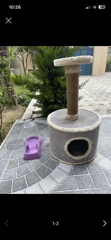 balaca cins itler: Pişik üçün oyun və istirahət dəsti.yeni kimidir — 1