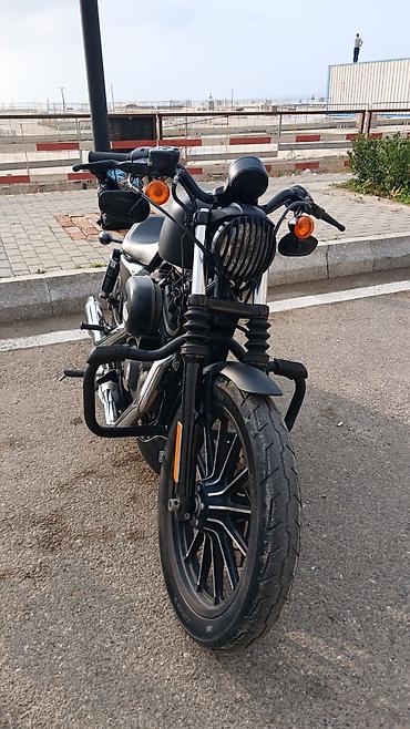 harley davidson: Harley Davidson - HARLEYDAV, 880 sm3, 2014 il, 12000 km — 7