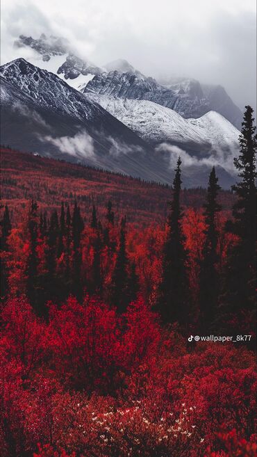 аренда 1 комнатной квартиры без посредников: 2 комнаты, Собственник, Без подселения