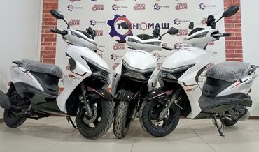 Скутеры: Тип скутера Ангел, 150 куб. см, Бензин, Новый — 11