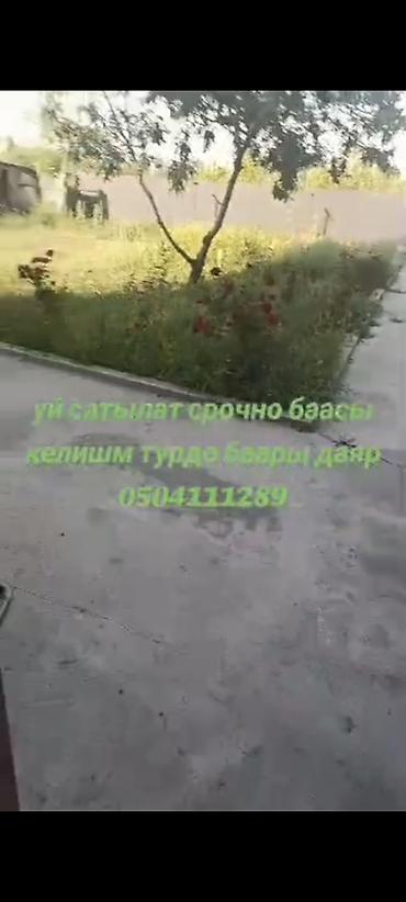 дачи сары жон: Номер берсенер видео жонотом — 7