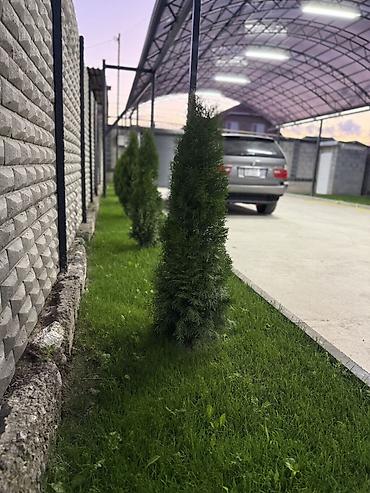 4: 🔥 СРОЧНО ПРОДАЁТСЯ НОВЫЙ КИРПИЧНЫЙ ДОМ! 📍 ж/м Ак-Орго (район — 3