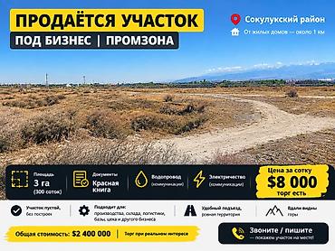 город манас: 300 соток, Для бизнеса, Красная книга — 1