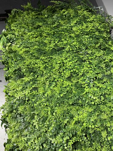 Süni güllər: Dekorlarin topdan ve perekende satisi — 5