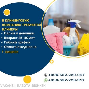 уборщица квартир: Уборщица. Дом