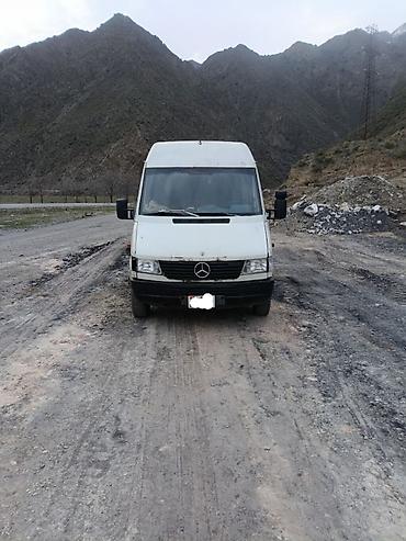 e34 4 4: Легкий грузовик, Mercedes-Benz, Дубль, 3 т, Б/у — 1