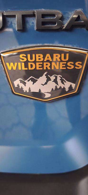 Subaru: Subaru Outback: 2021 г., Кроссовер — 18