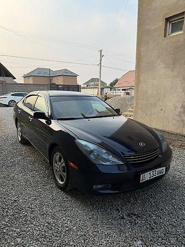таёта эхо: Lexus ES: 2004 г., 3.3 л, Автомат, Газ, Седан — 3