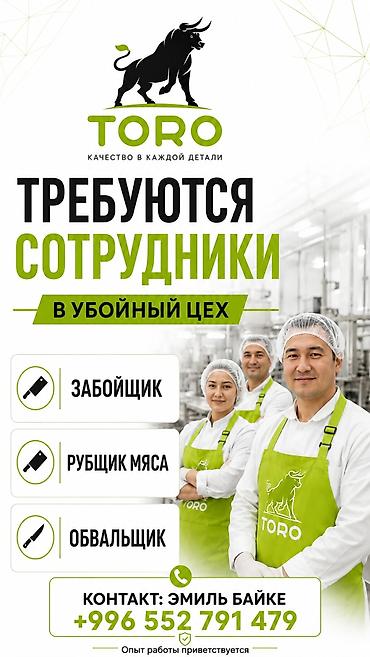дойки ко: TORO — набор сотрудников в убойный цех. Открыты позиции: - забойщик - — 1