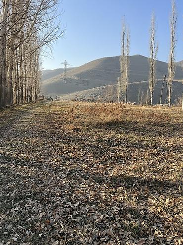 Продажа коттеджей и домов: 📍 В Сокулуке в селе Тош-Булак продается дом на участке 40 соток по — 4