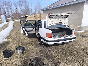 эшик б у: Audi 100: 1991 г., 2 л, Кол менен иштөөчү, Бензин, Седан — 4