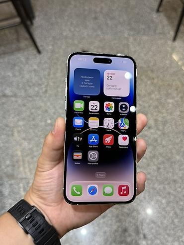 17 pro max mini: IPhone 14 Pro Max, 256 ГБ, цвет Silver (серебристый) - Экран 6.7" — 3