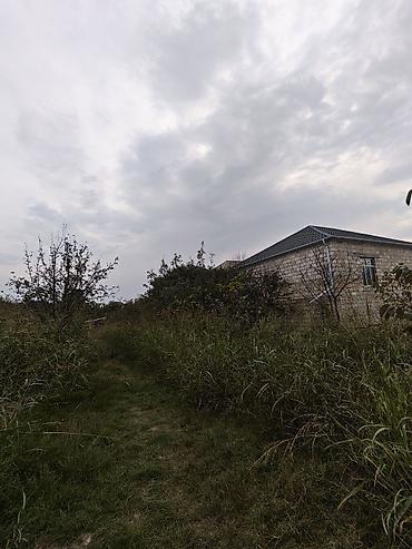 7 ci mikrorayon yeni tikili: 12 sot, Kənd təsərrüfatı, Barter mümkündür, Kupça (Çıxarış) — 3