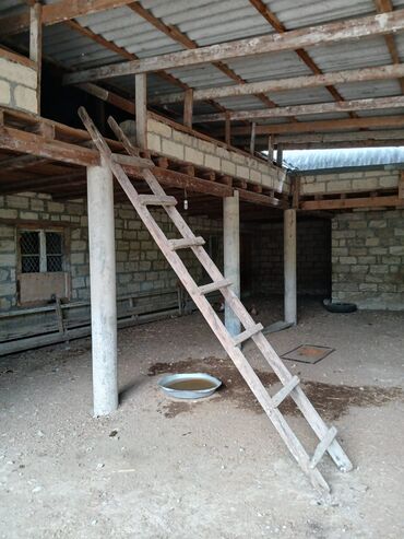 Kənd təsərüfatı heyvanları üçün digər mallar: Salam Arenda veya satmaq Heyvan saxlanılan təsərrüfat/qoyun‑malqar — 7