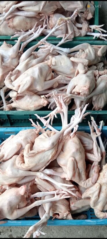 Şokolad və konfetlər: Öz həyətimizindi ona görə sərfəli qiymətə satılır Məhsul: Təmizlənmiş