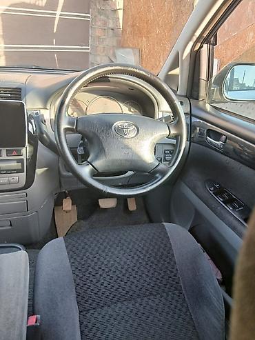 range river: Toyota Ipsum: 2003 г. — 3