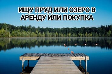 участок булан соготту: 200 соток