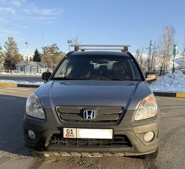 Honda: Honda CR-V: 2005 г., 2.4 л, Механика, Газ, Внедорожник — 3