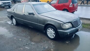 купить мерседес 609 с пробегом в россии: Mercedes-Benz S-Class: 1994 г., 3 л, Автомат, Дизель, Седан