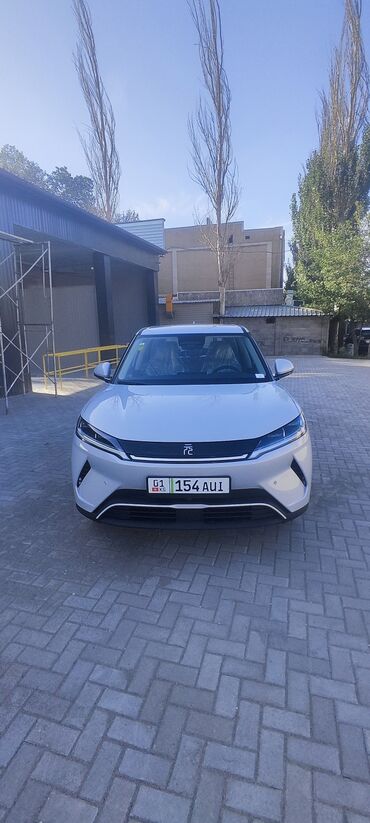 электромобиль автомобиль: BYD Yuan Up Vitality Smart Driving Edition ристайлинг цвет кузова