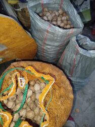 цена дубайский шоколад: Грецкие орехи. оптом по 100 сом