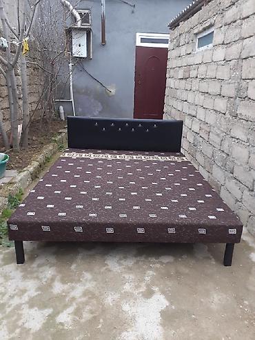 Kravat taza 
Hazırı var — 1