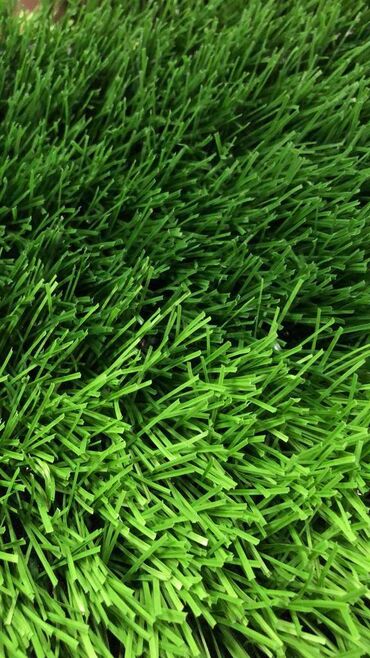газонная трава купить: Футбольный газон,искусственный футбольный газон,газон +для футбольного