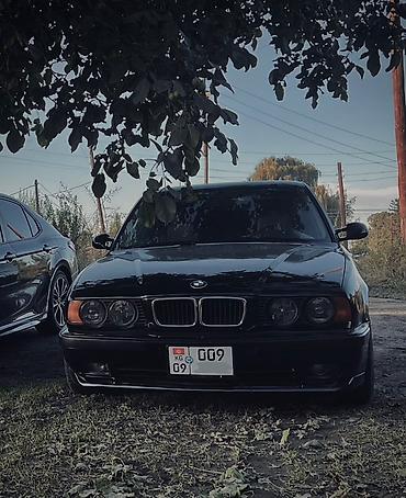 ауди 100 сколько стоит: BMW 5 series: 1995 г., Седан — 1