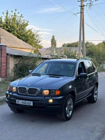 атего 19 5: BMW X5: 2002 г., 4.4 л, Типтроник, Бензин, Кроссовер