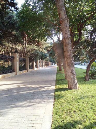 Köhnə tikili: Bakı, 3 otaqlı, Köhnə tikili, m. İçərişəhər, 76 kv. m — 15