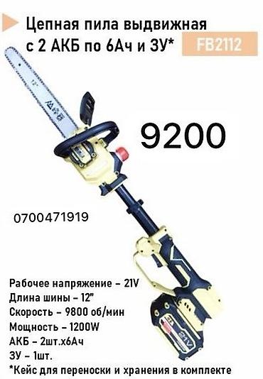 веток: Цепная пила выдвижная FB2112 Комплектация: - 2 аккумулятора 6 Ач — 1