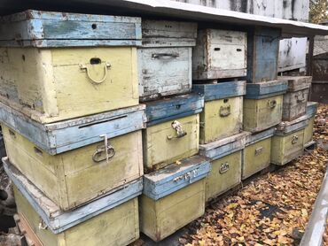 шкаф для одежда бу: Деревянный Ящик