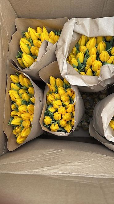 Букеты из живых цветов: Тюльпаны упаковки в крафт-бумаге - Разнообразие окрасов — 1