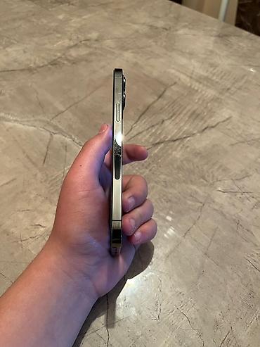 Apple iPhone: IPhone 12 Pro Max, Б/у, 256 ГБ, Серебристый, Защитное стекло, Чехол, 100 % — 2