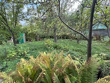 Продажа участков: 5 соток, Для сельского хозяйства — 5