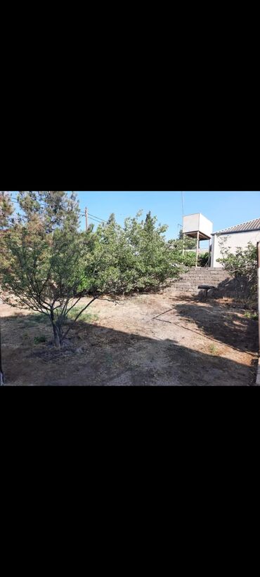 Həyət evləri və villaların satışı: 4 otaqlı, 180 kv. m, Orta təmir -da lalafo.az — 9 Həyət evləri və villaların satışı: 4 otaqlı, 180 kv. m, Orta təmir — 9