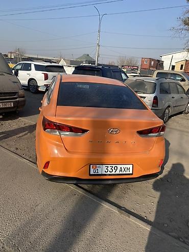 оранжевая соната: Hyundai Sonata: 2019 г., 2 л, Автомат, Газ, Седан — 2